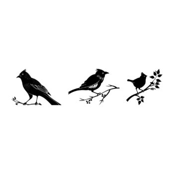 Kuifvogel muurstickers set ontwerp